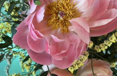 Amour Amour - Love Room - Foto 23