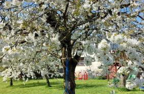 Ferienwohnung Zur Hofreite Fewo 5 - Foto 28