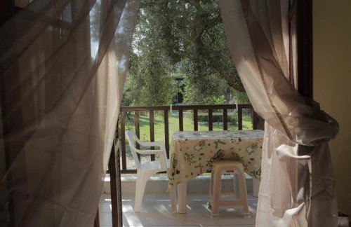 House Nativa - Foto 10