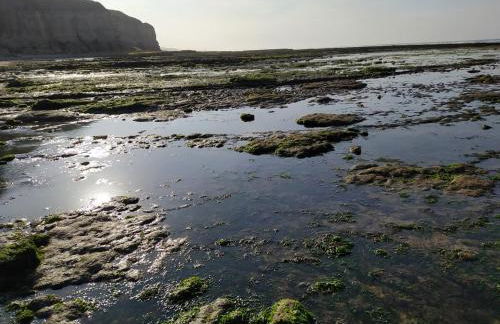 La Ruée vers l'Aure - Foto 30