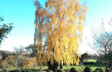 Gartentraum - Foto 23