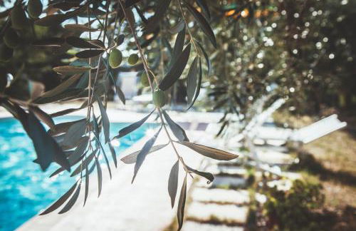 Case Vacanza Podere Risoino - Foto 36