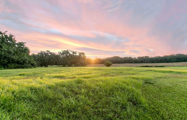 Ball House and Cottages - Foto 33