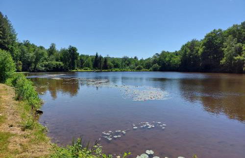 "Le petit bonheur" Gîte van 4 tot 12 personen met privé vijver van 2Ha - Foto 34