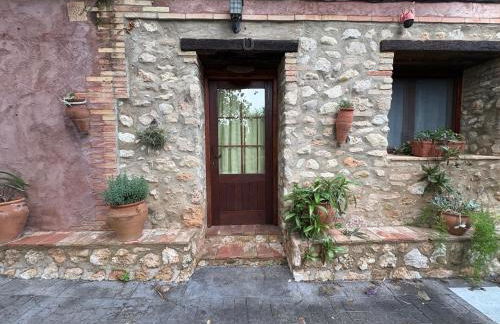 Lo Racó de Peret - Foto 25