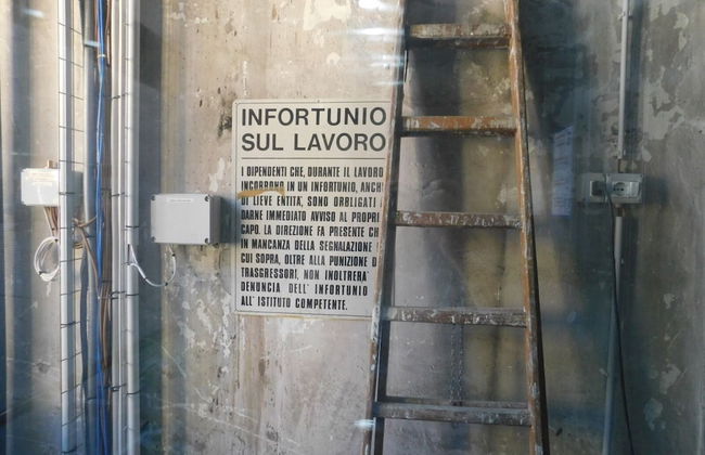 Piumaviola - Foto 65