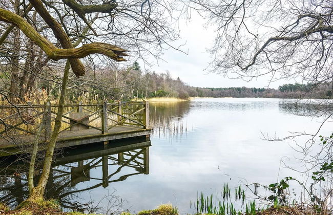 Ferienhaus Seeblick, Zemitz - Foto 16
