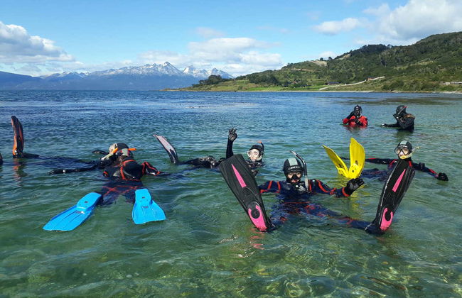 Snorkelling in the Beagle Channel - Photo 2