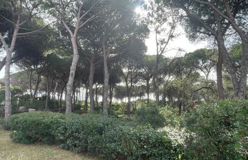 Villa Marghe - Foto 66