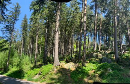 Schwarzwald-Idylle in Schonach - Foto 41