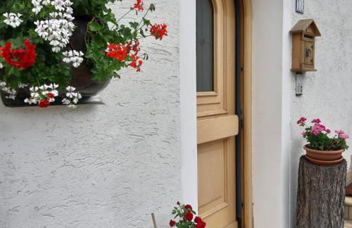 DOLOMITI DA VIVERE - Photo 13