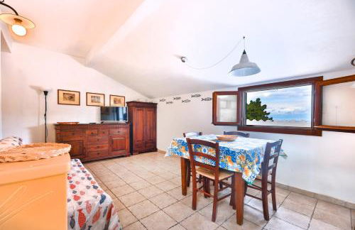 Cotoncello in una posizione panoramica - Goelba - Foto 4