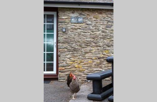 Hele Bay Cottage - Foto 6