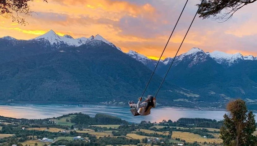 Coihue de los Columpios