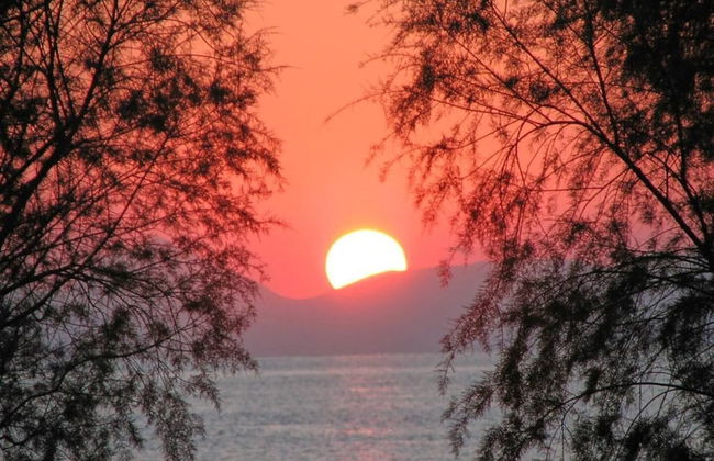 Harmony Vale- Anavissos - Foto 39