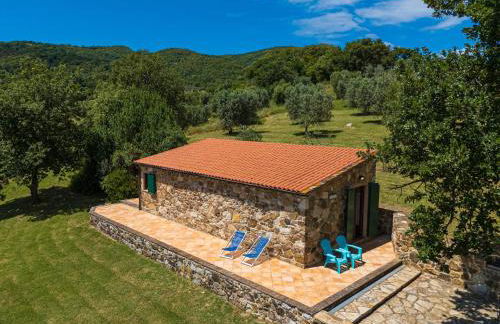 Poggio Diavolino - Suvereto - Foto 73