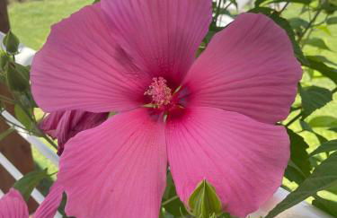 Villa Sofia *Luxury experience in Calabria - Foto 52