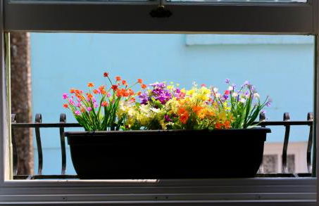 Drift Cottage - Fisherman's Cottage Brixham harbour - Photo 19