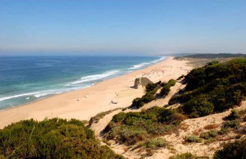 Seaing House II - Foto 27