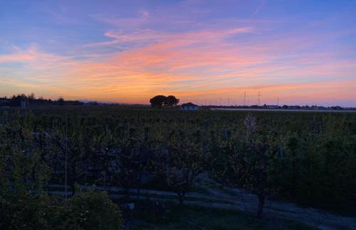 Sotto la luna Casa in campagna - Foto 27