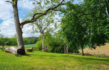 Ferienhaus Ederhof - Idyllischer Vierseithof, kinder- und hundefreundlich, Referenzen auf FeWo-direkt nachlesbar - Foto 18