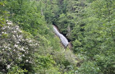 Smokies Hill Top Cabin Mountain Views 2 miles to Town Pet Friendly - Foto 29