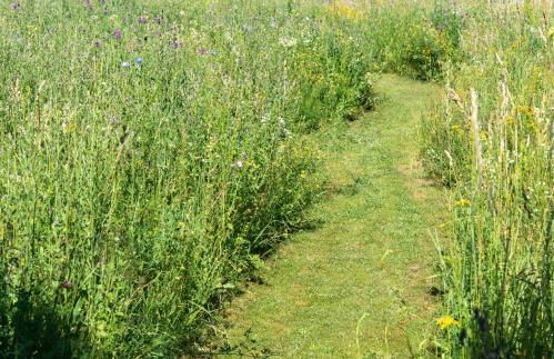 Moderne, gemütliche DG-Wohnung in ruhiger Lage - Foto 40