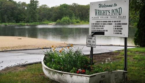 Janets Cove - Foto 2