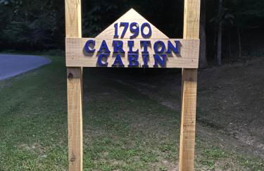 Carlton Cabin at Lake of Egypt 500 Sq Ft - Photo 42