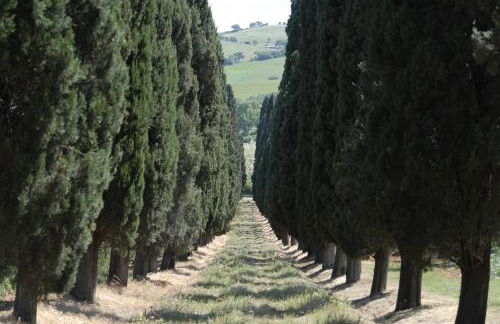 Tenuta di Poggio Cavallo - Foto 32