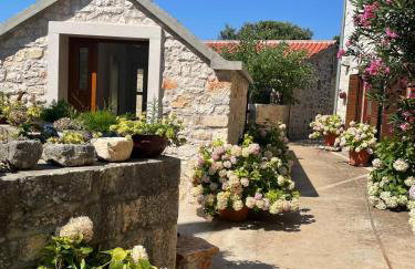 Villa Rosa, Dracevica 45, Brac - Foto 3