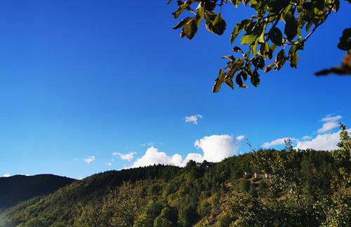 Kuća za odmor Tomislav - Photo 20