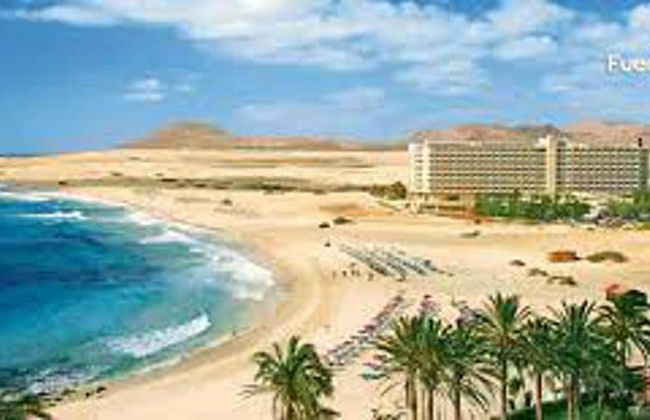 Rustic 1-bed Bungalow in Parque Holandés - Photo 25