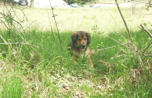 Wood Cabins by the River - for Nature Lovers - Photo 57