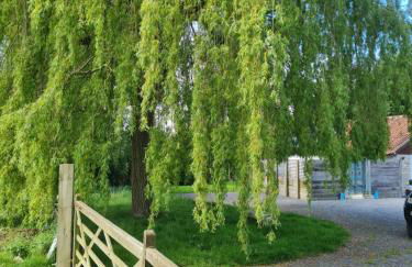 The Little Cottage - Peaceful, Dog Friendly Cottage in 5 Acres - Photo 11
