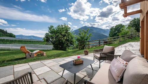 Trinnerhof- Hof Chalets und Obsthof - Photo 4