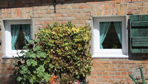 Wohnung in Ribnitz Damgarten - Foto 5