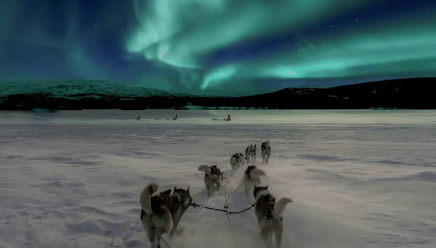 Paseo en trineo de perros husky bajo la aurora boreal - Foto 5