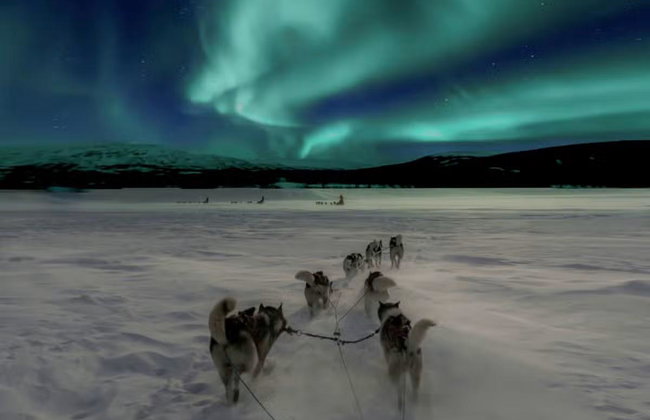 Northern Lights Husky Sleigh Ride - Photo 5