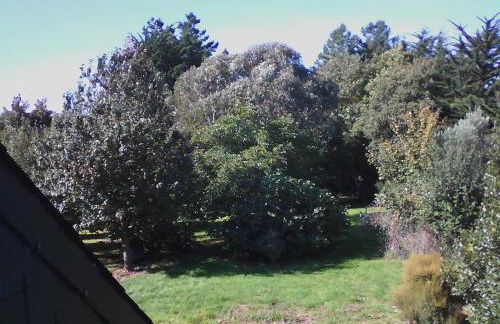 Gîte Lézardrieux - Foto 29