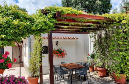 Nadia's house - Photo 2