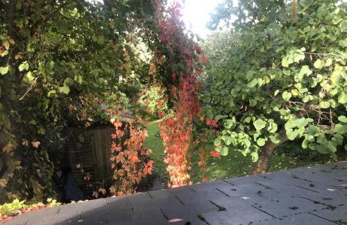 Garden Cottage Wiveliscombe - Foto 16