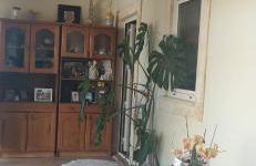 Quintal do Ti Zaquiel - Foto 11