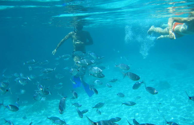 Balade en bateau à moteur avec snorkeling à Formentera - Photo 5
