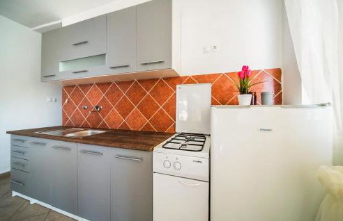 4 Bedroom Lovely Home In Pupnat - Foto 4