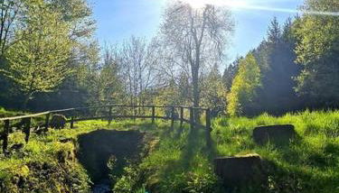 Ferienwohnung Winterberg - Foto 3