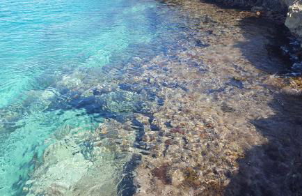 Villa Pestanaca - Foto 36