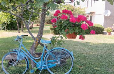 Apartment Greta - Photo 32