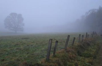 Mike's 3-bedroom Countryside Cottage - Foto 44