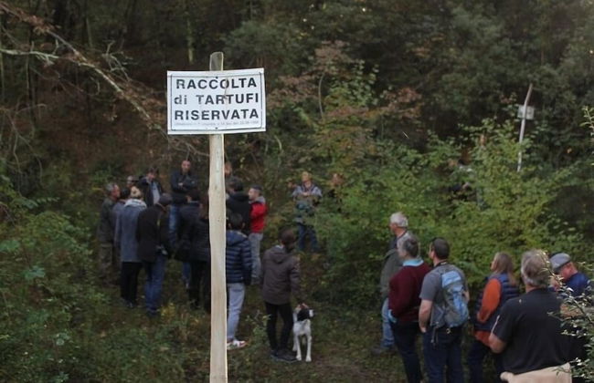 Agriturismo Fattoria Del Colle - Foto 31